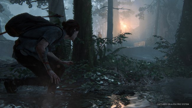 طی ادعای یک خرده فروش لهستانی بازی The Last of Us Part 2 امسال منتشر خواهد شد