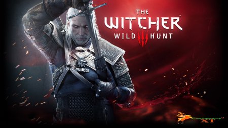 تصاویری جدید از The Witcher 3: Wild Hunt|افت گرافیک