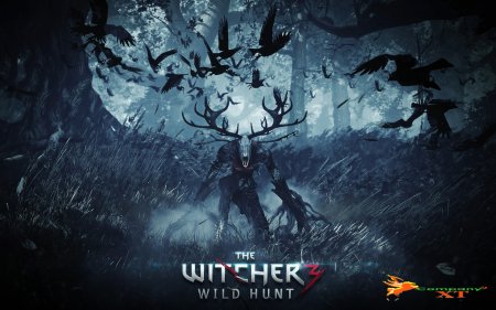 تریلر گیم پلی جدید بازی The Witcher 3: Wild Hunt