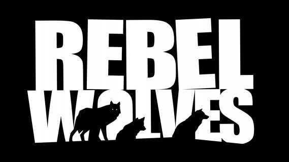 استدیو Rebel Wolves توسط سازندگان سابق Witcher و Cyberpunk تاسیس شد|استدیو در حال کار بر روی یک عنوان RPG